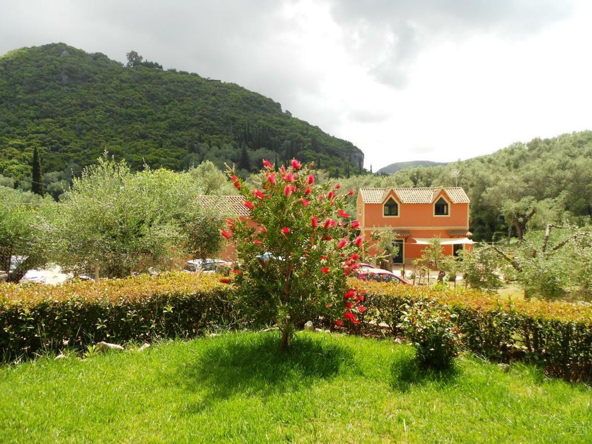 Anemona Studios Paleokastritsa Exteriér fotografie